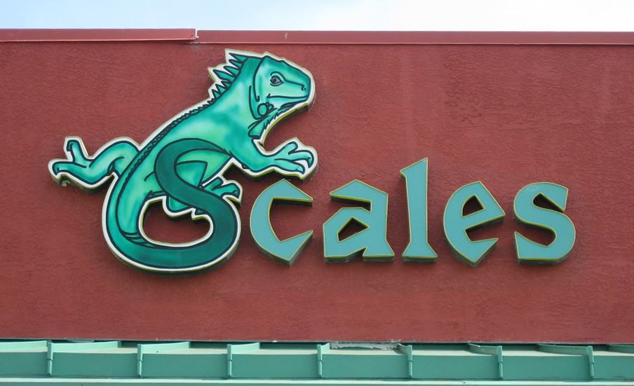 Illuminated Sign - LED Channel letters